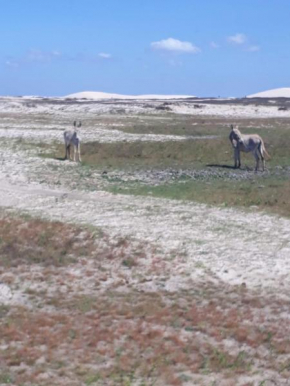 Portadosoljeri, Jijoca De Jericoacoara